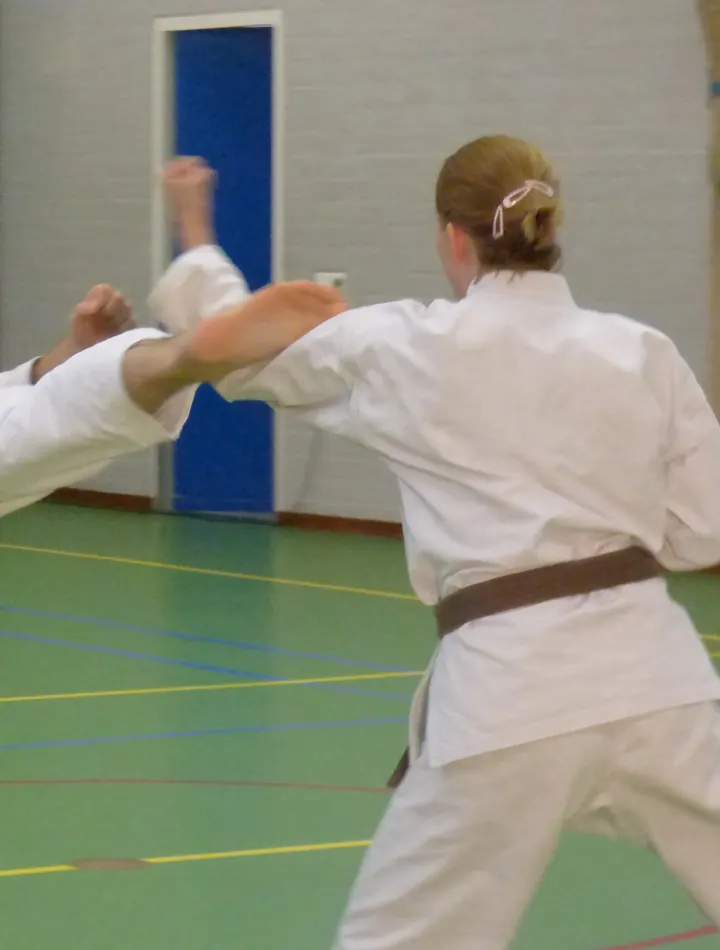 Stichting Kuroshiro — Vechtsport in Nijmegen-Zuid, Nijmegen
