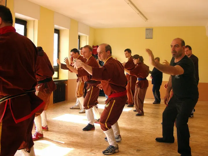 Kampfkunstschule "Rote Dschunke" — kampfsport-studio in Illingen — 5