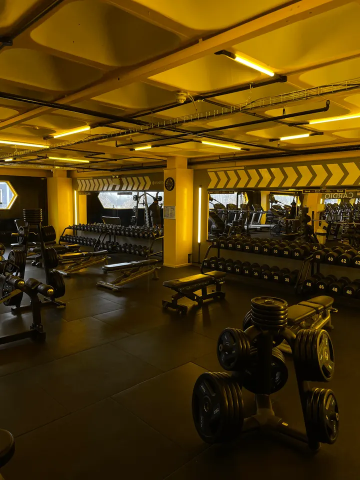 The Yard Health and Fitness — Boxing in Belfast