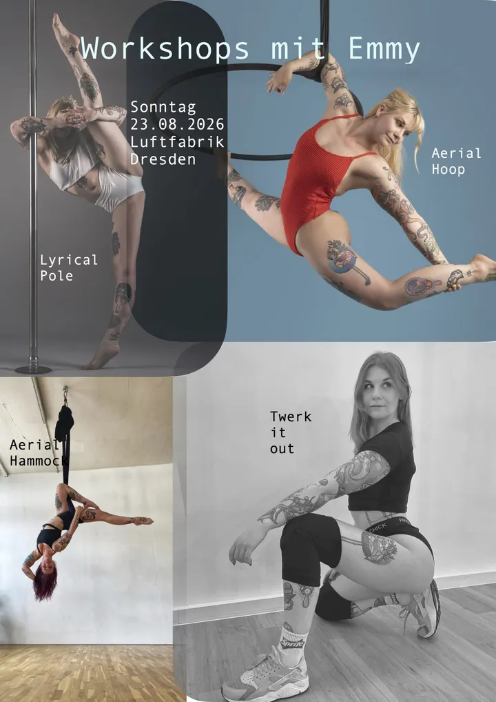 Luftfabrik Dresden — pole fitness-studio in Dresden — 5