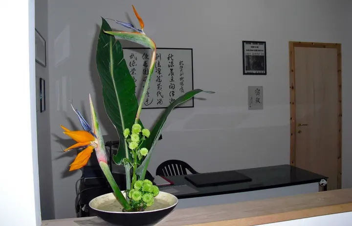 asd "Il Ponte" - Garyuan Dojo Roma — arti marziali-studio a Roma — 4