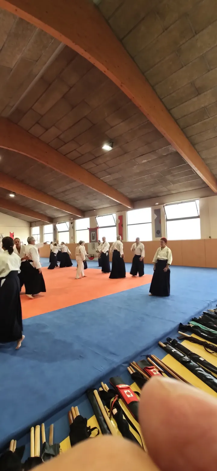 Aikido Annecy — arts martiaux-studio à Annecy — 3