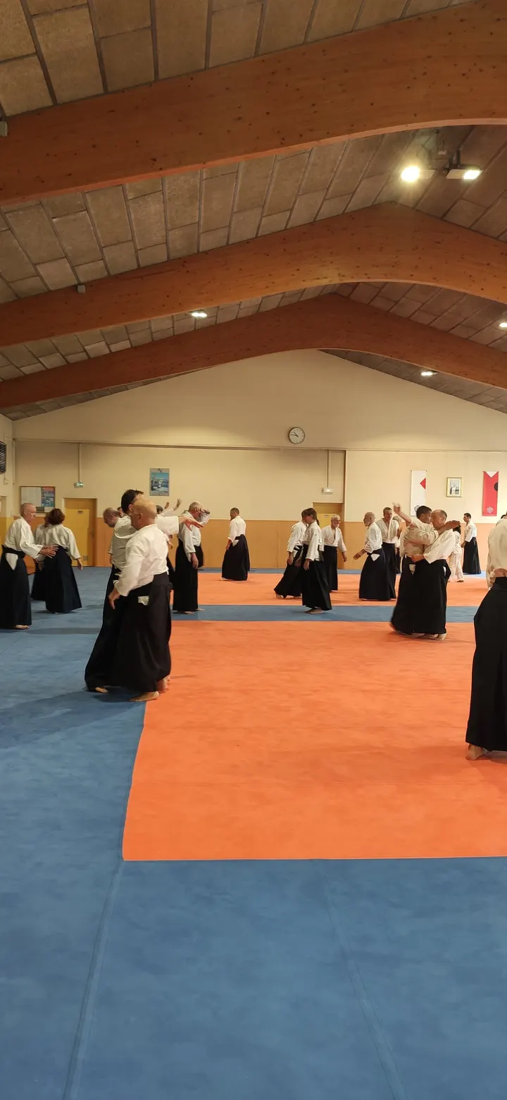 Aikido Annecy — arts martiaux-studio à Annecy — 4