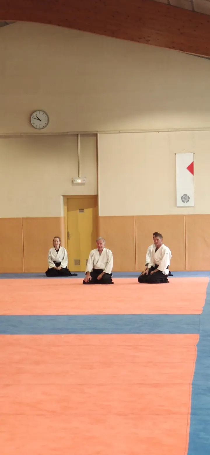 Aikido Annecy — arts martiaux-studio à Annecy — 5