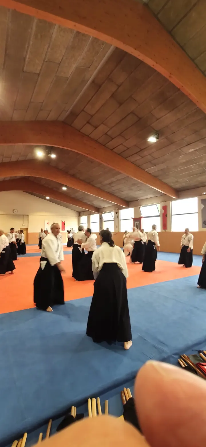 Aikido Annecy — Arts martiaux à Cran-Gevrier, Annecy