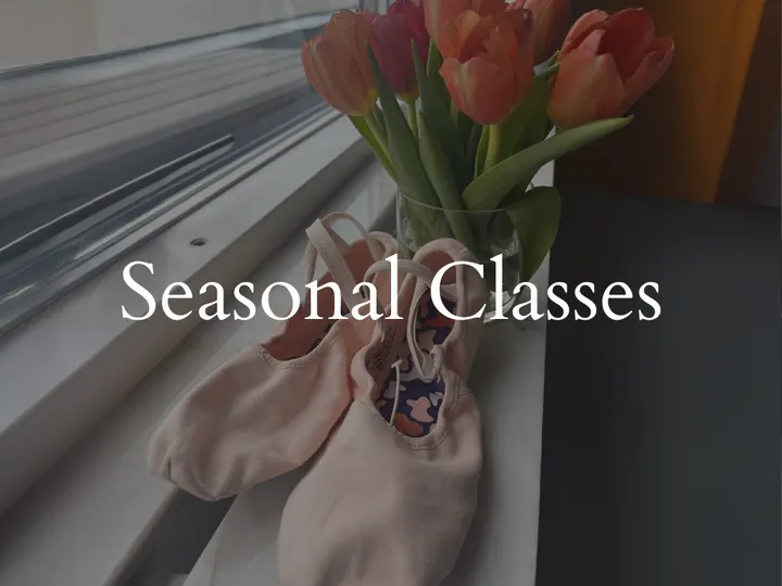 Ballet Gothenburg — barre-studio i Göteborg — 3