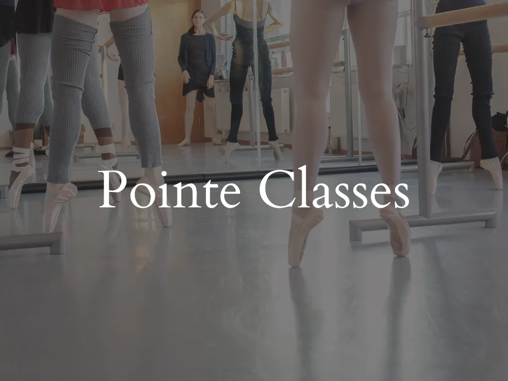 Ballet Gothenburg — barre-studio i Göteborg — 3