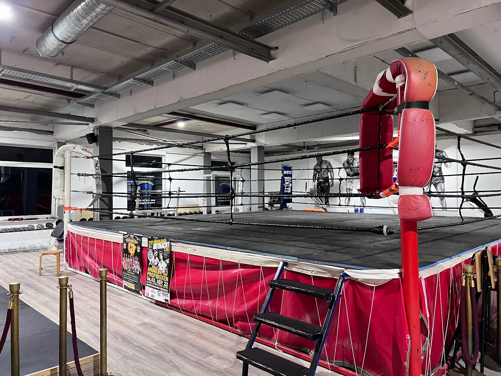Trust Gym Sportakademie — kampfsport-studio in Harburg, Hamburg — 3