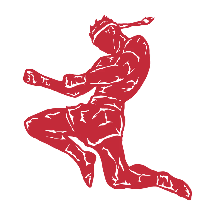 Brianza Fighting Villasanta — mma-studio a San Fiorano, Villasanta — 2