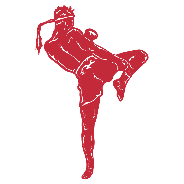 Brianza Fighting Villasanta — mma-studio a San Fiorano, Villasanta — 3
