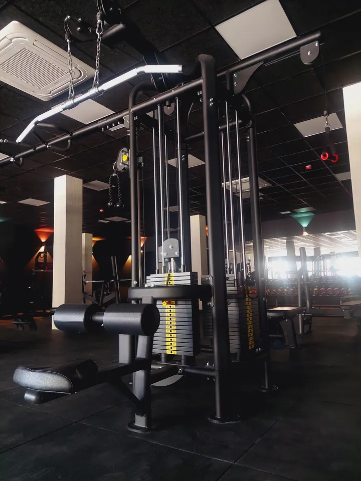 Animal Gym — estudio de fitness-studio en Guadalajara — 3