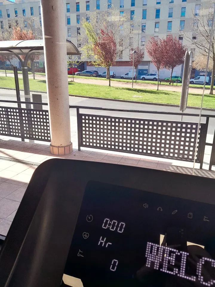 Animal Gym — estudio de fitness-studio en Guadalajara — 4