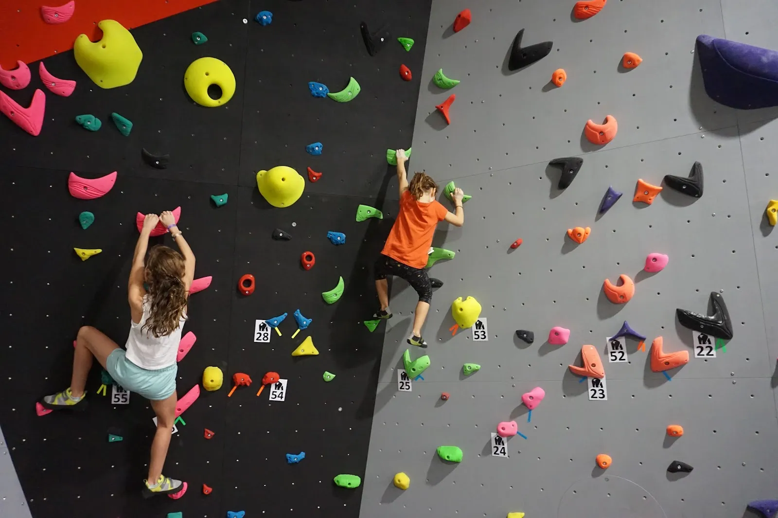 MONKEY ROCK › Rocódromo Córdoba — escalada-studio en Pedroches, Córdoba — 2