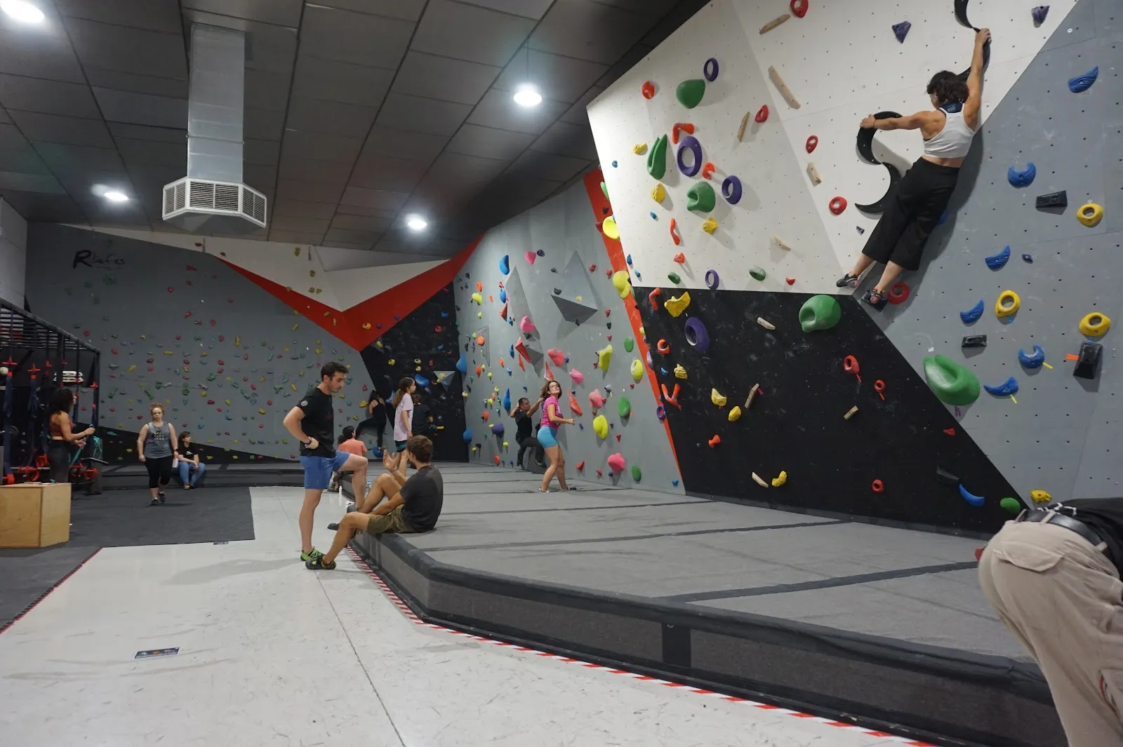 MONKEY ROCK › Rocódromo Córdoba — escalada-studio en Pedroches, Córdoba — 3