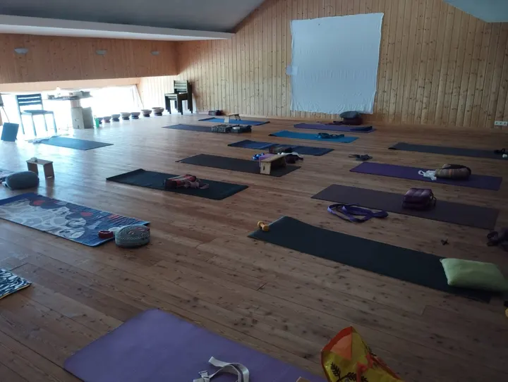 Damien Afonso – Professeur de yoga / pilates — yoga-studio à Lyon — 3