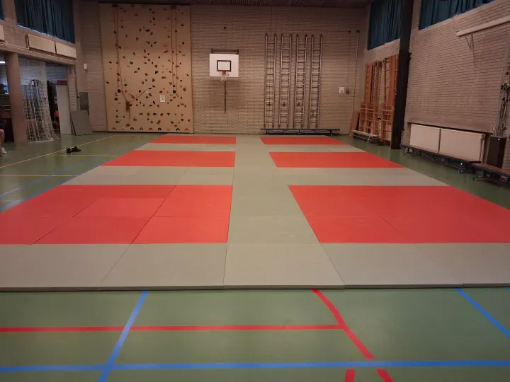 Shi-Sei Sport SBO de Springplank — vechtsport-studio in Den Haag — 3