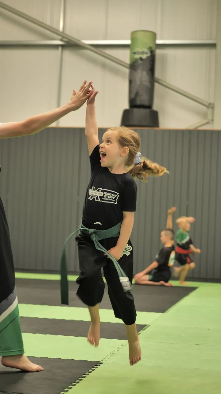 X Martial Arts — martial arts-studio in Strensall with Towthorpe, York — 2