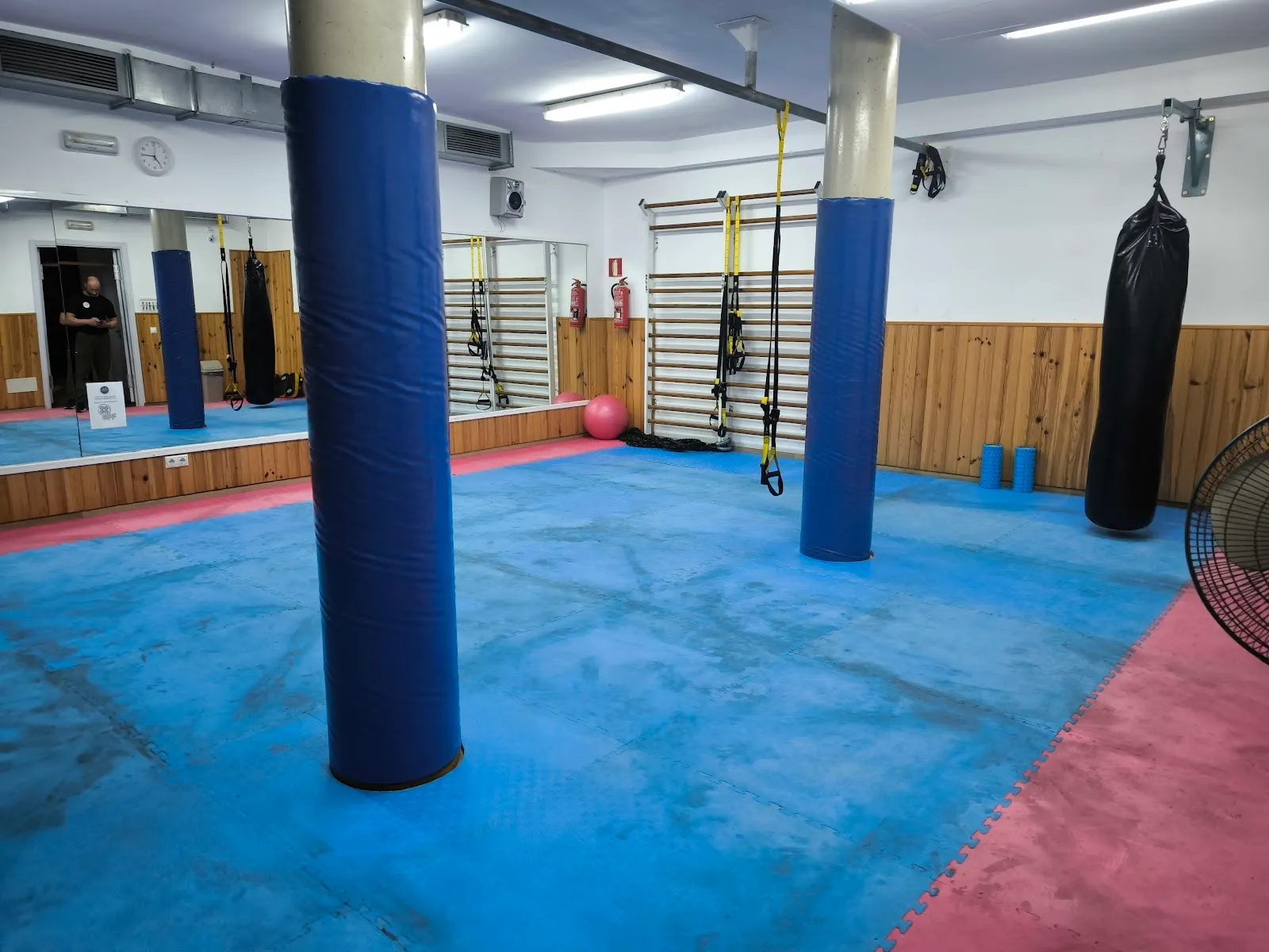 ZONA FIT 365 GIMNASIO Muro — fuerza-studio en Muro — 2