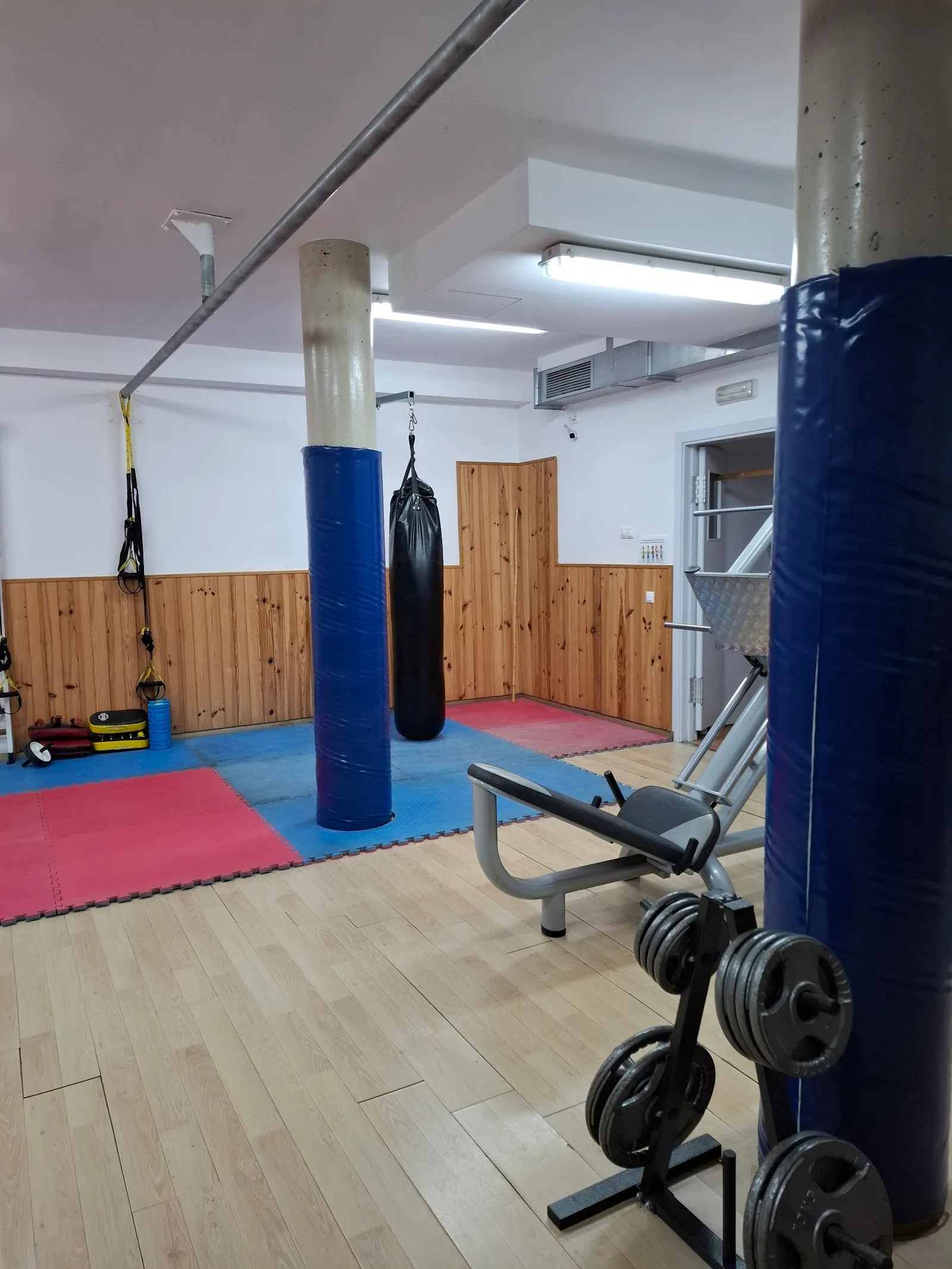ZONA FIT 365 GIMNASIO Muro — fuerza-studio en Muro — 3