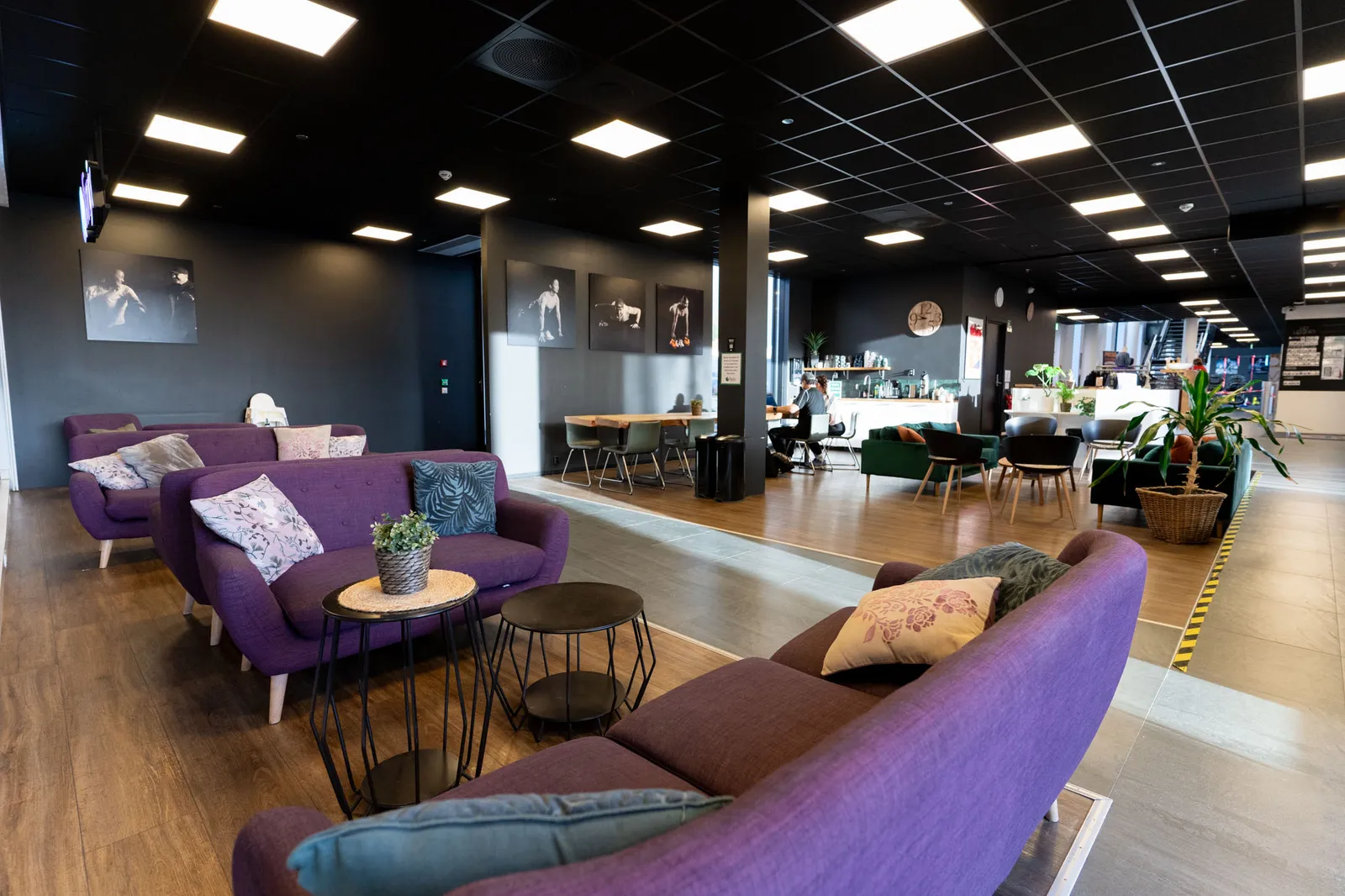 Fønix — treningsstudio-studio i Brumunddal — bild 5