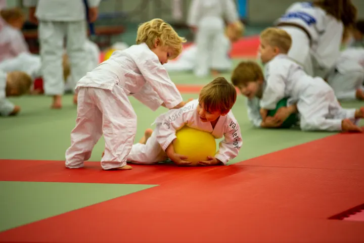 Judoschool van der Hoek — vechtsport-studio in Bussum — 2
