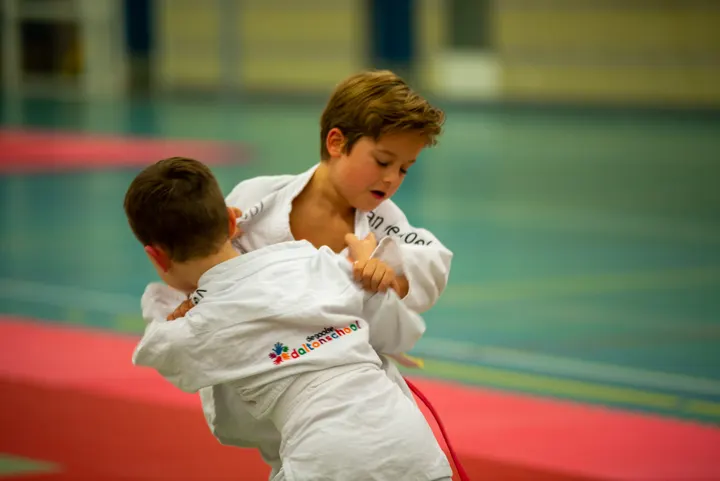 Judoschool van der Hoek — Vechtsport in Bussum