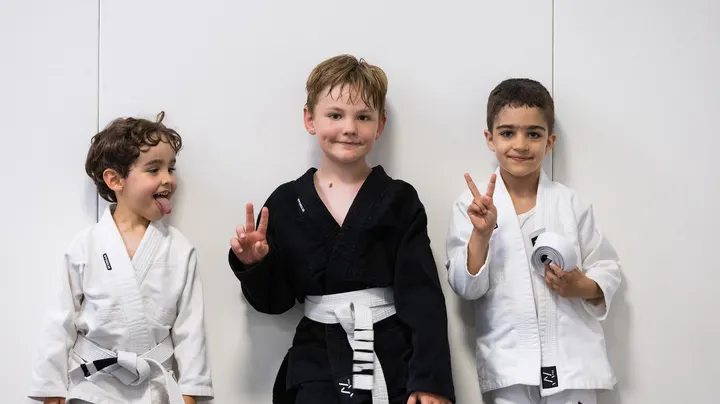 Virtus Jiu-Jitsu — bjj-studio in Dresden — 4