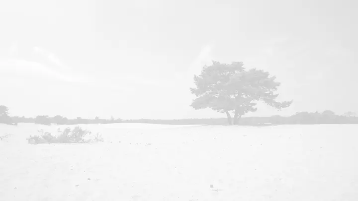 Dru YogaWeekend Retraite — Yoga in Soestduinen, Soest