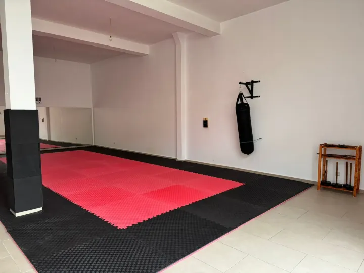 Nagare Dojo Goju-Ryu — artes marciais-studio em Bairro da Quinta de Santa Luzia, Viseu — 3