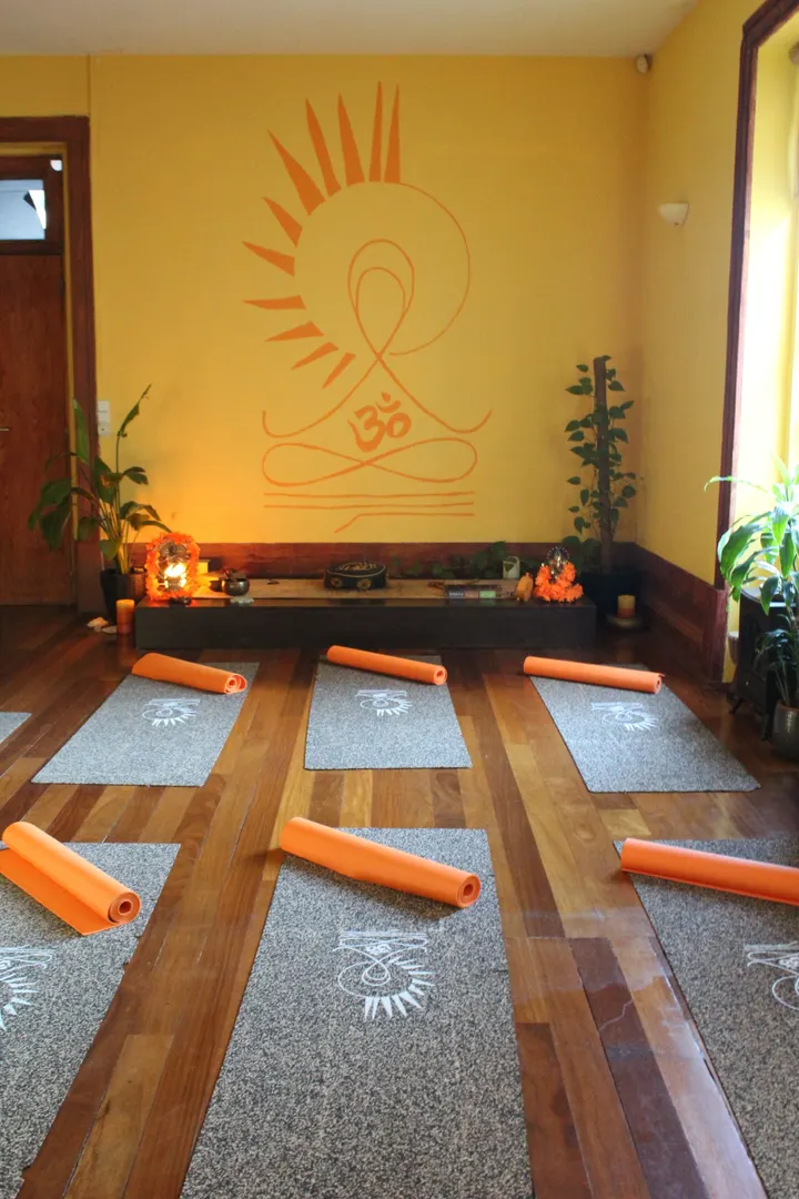 Escola Yoga Miguel Correia — yoga-studio em Porto — 2