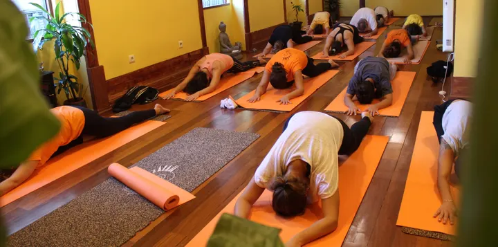 Escola Yoga Miguel Correia — Yoga em Matosinhos