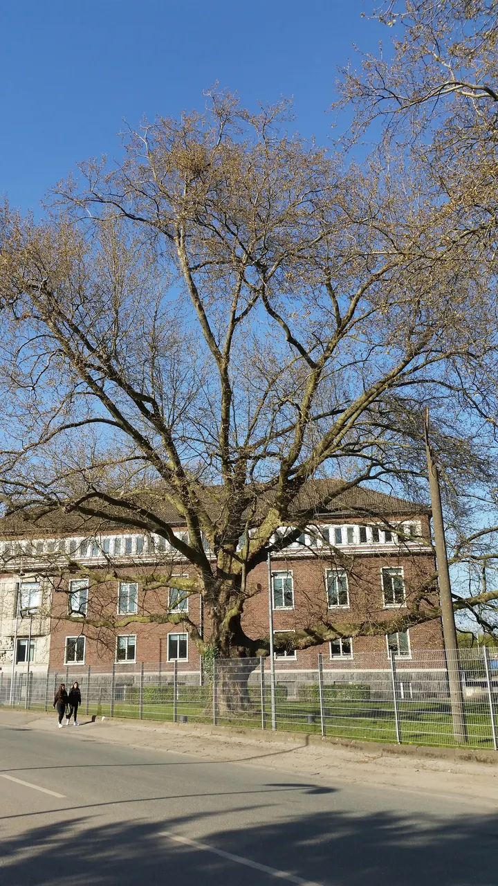 Zeche Helene — fitnessstudio in Altenessen-Süd, Essen — 3