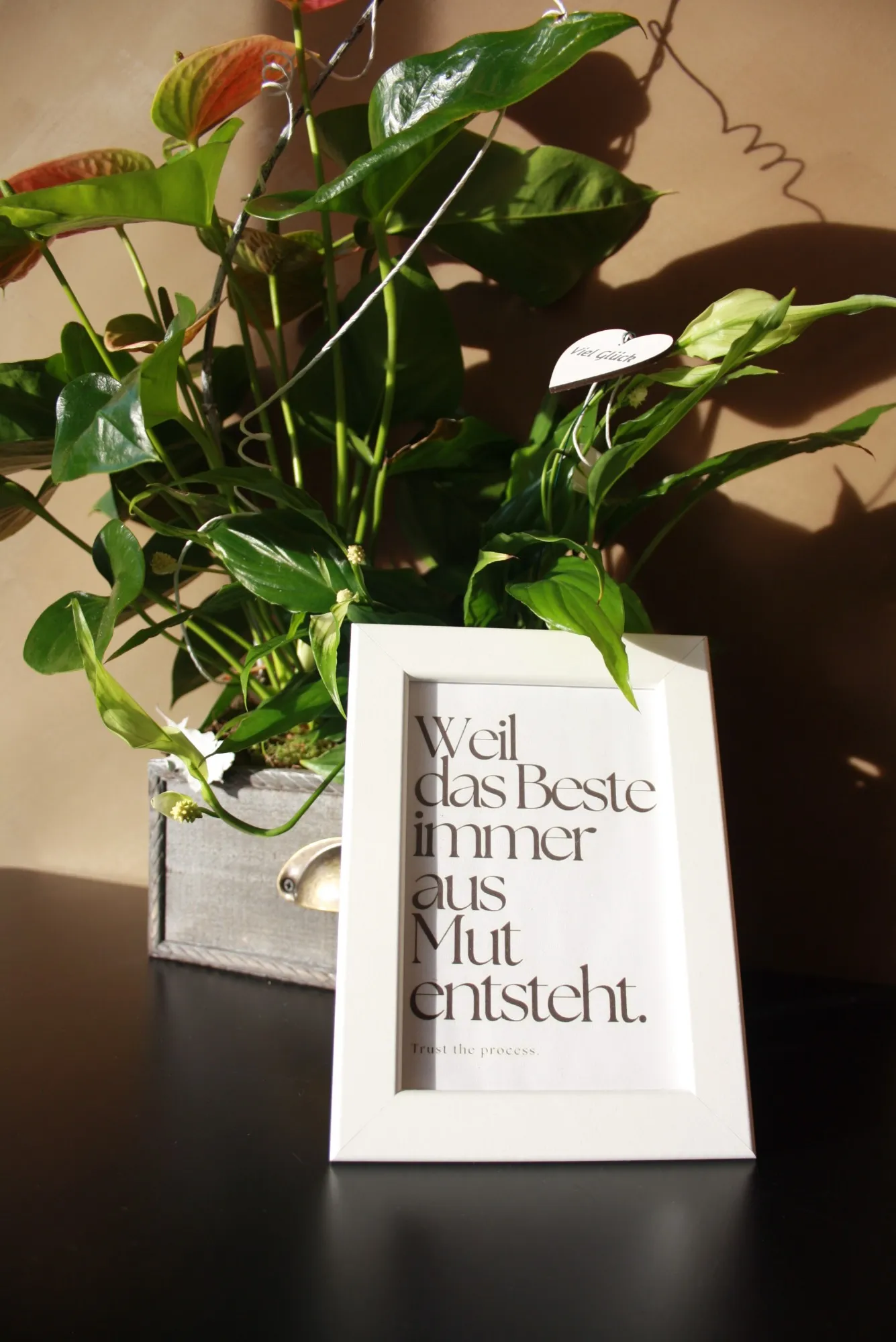 house of Prem Mandala — yoga-studio in Siegen — 3