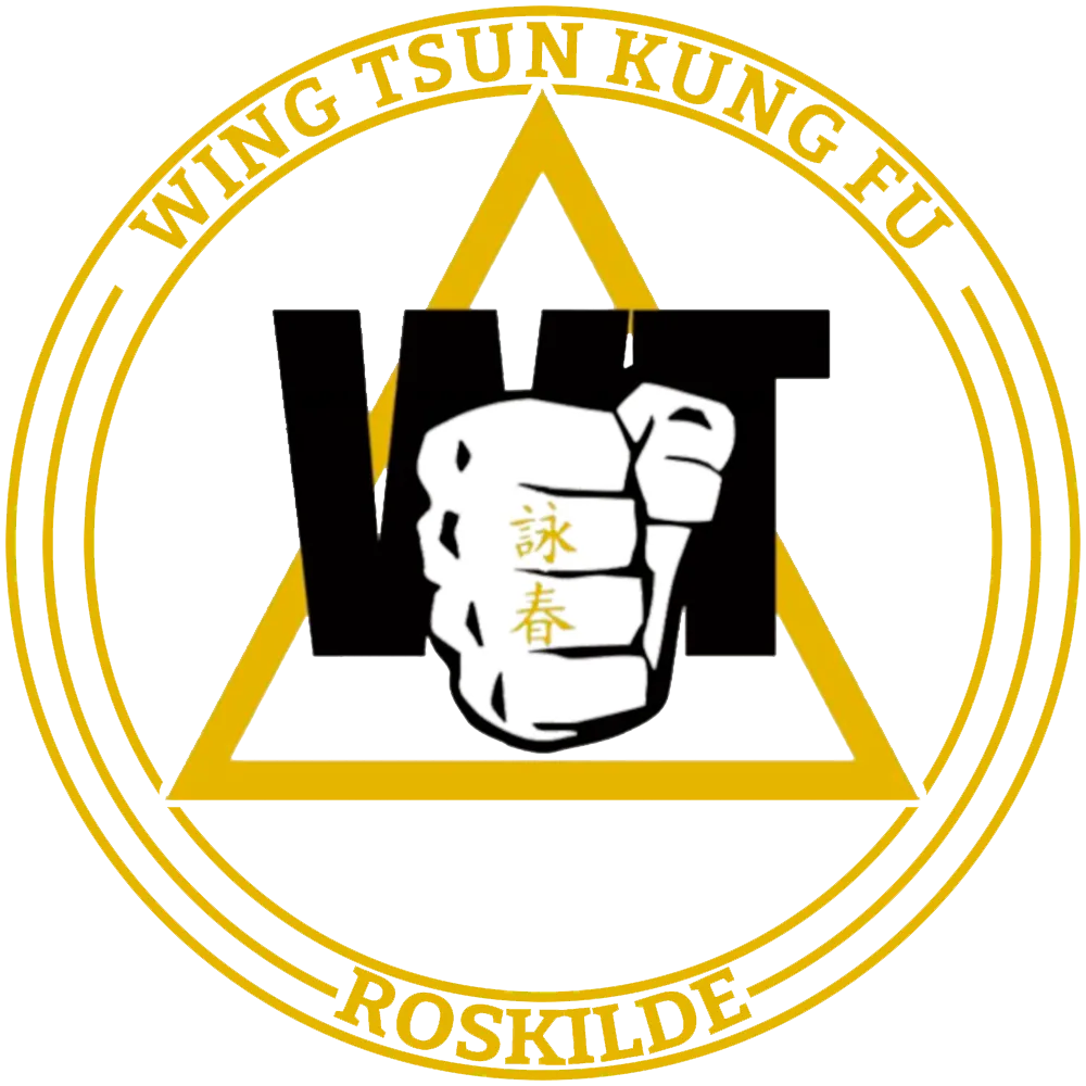 Roskilde Wing Tsun Kung Fu — kampsport-studio i Roskilde — bild 3