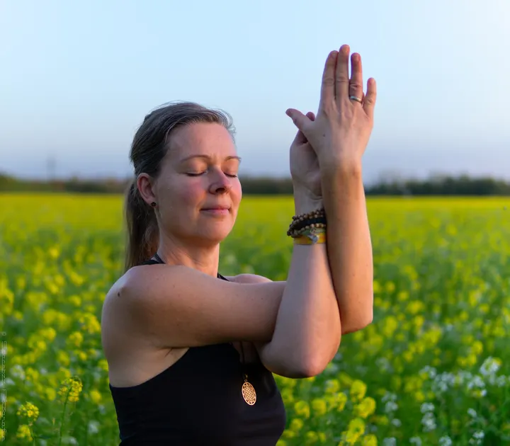 Kiwayo - Dein Yoga in Leipzig — Yoga in Lindenthal, Leipzig
