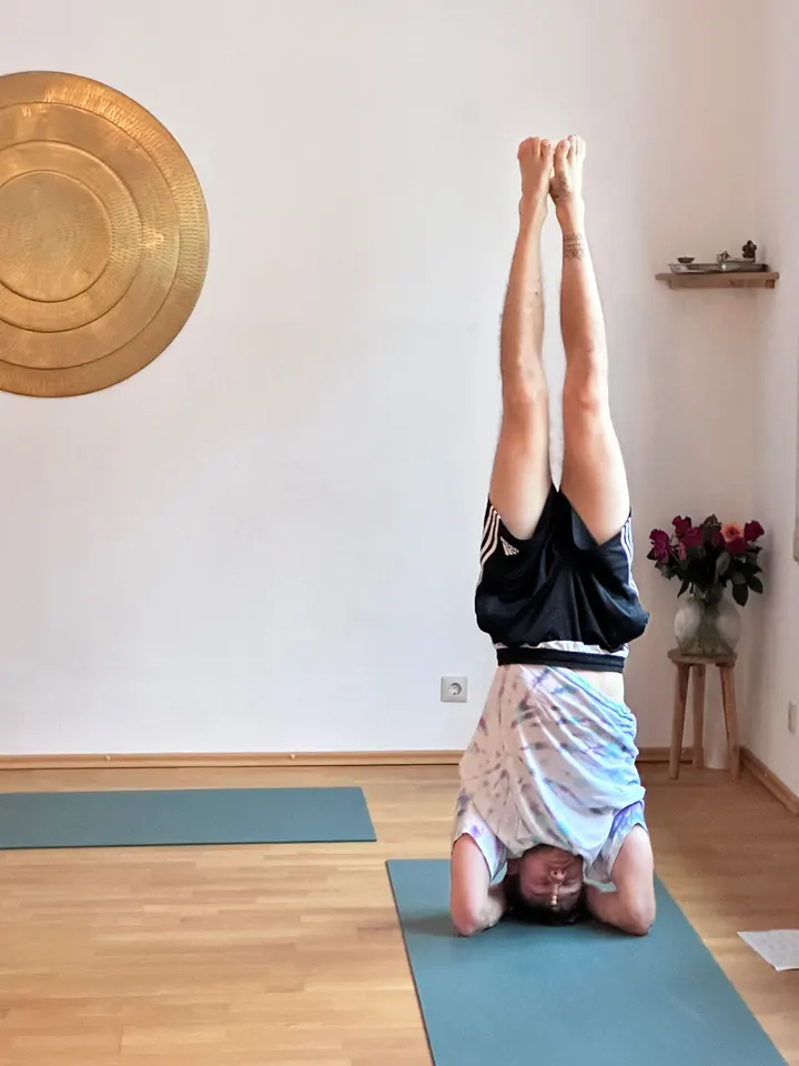 True Yoga Heidelberg — yoga-studio in Heidelberg — 3