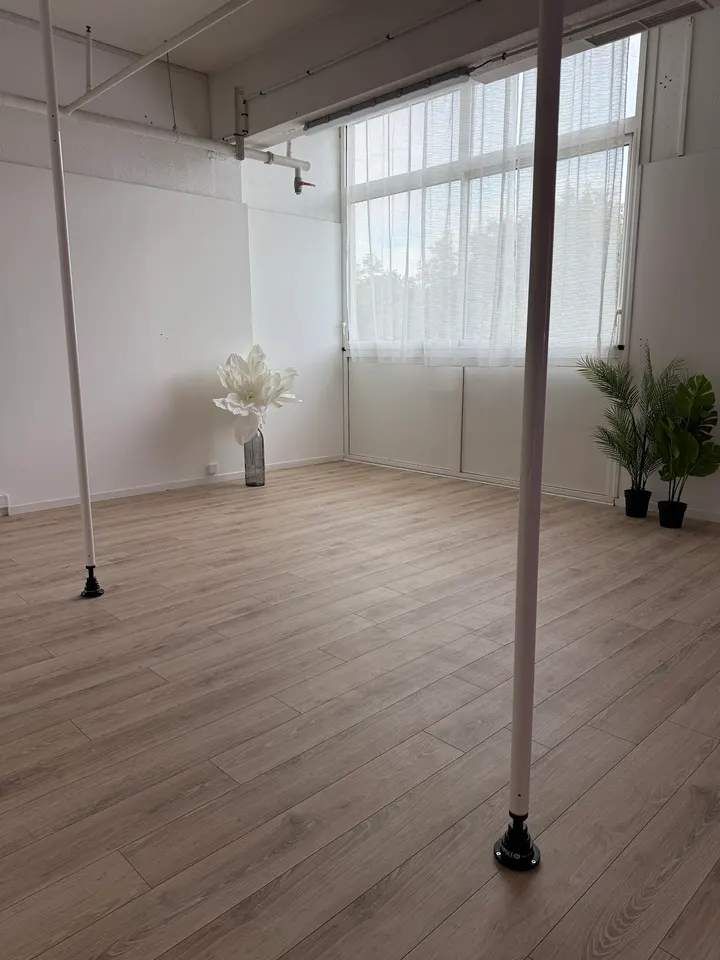 Le Studio Privé - Chaumontel — pole fitness-studio à Chaumontel — 3
