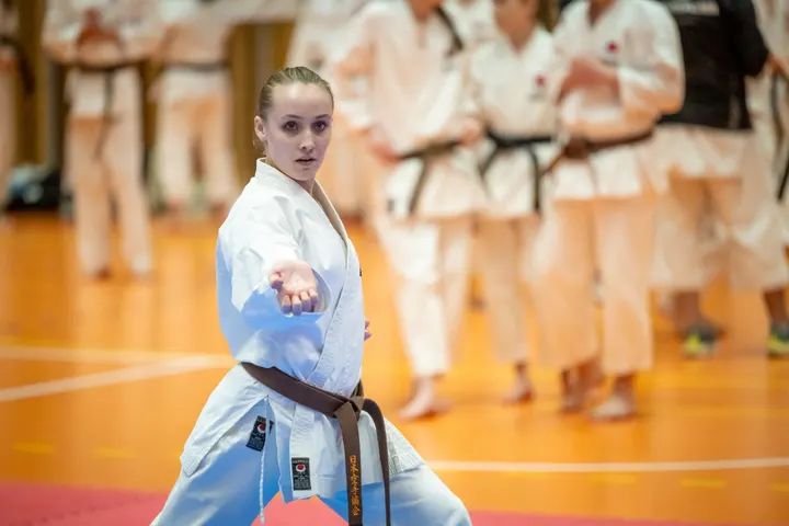 Sandefjord Shotokan Karateklubb — martial arts-studio i Pindsle, Sandefjord