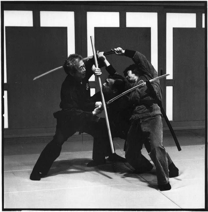 Budo en Córdoba — Artes marciales en Centro Comercial, Córdoba