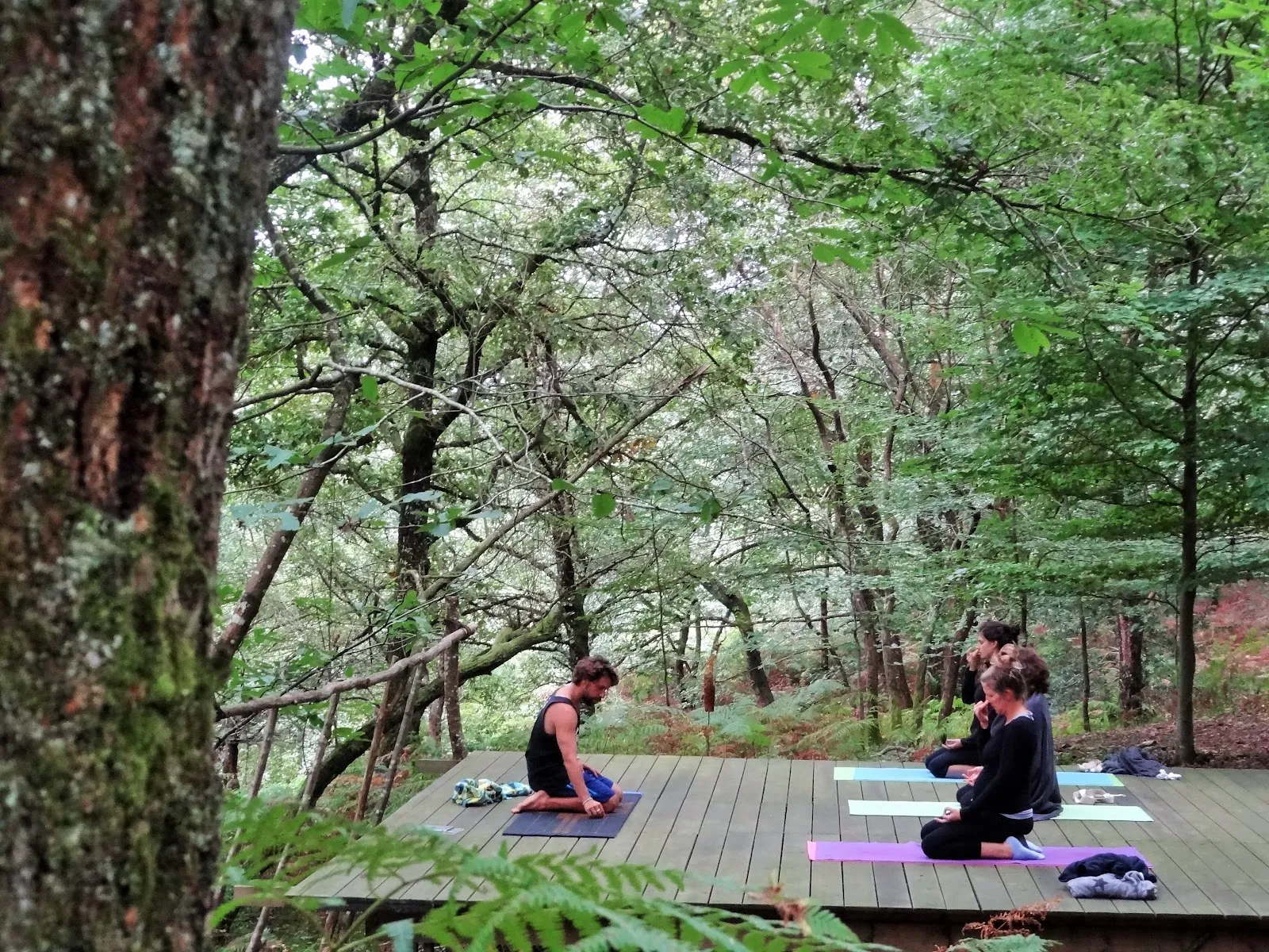 Bosque Escondido Arte — yoga-studio en Cerecea — 3