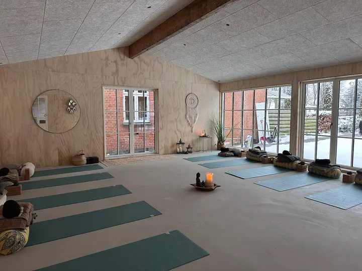 Moses yoga — Yoga i Hammersholm, Horsens