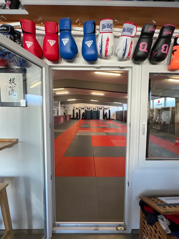 Tatami Art Dojo e. V. — bjj-studio in List, Hannover — 2