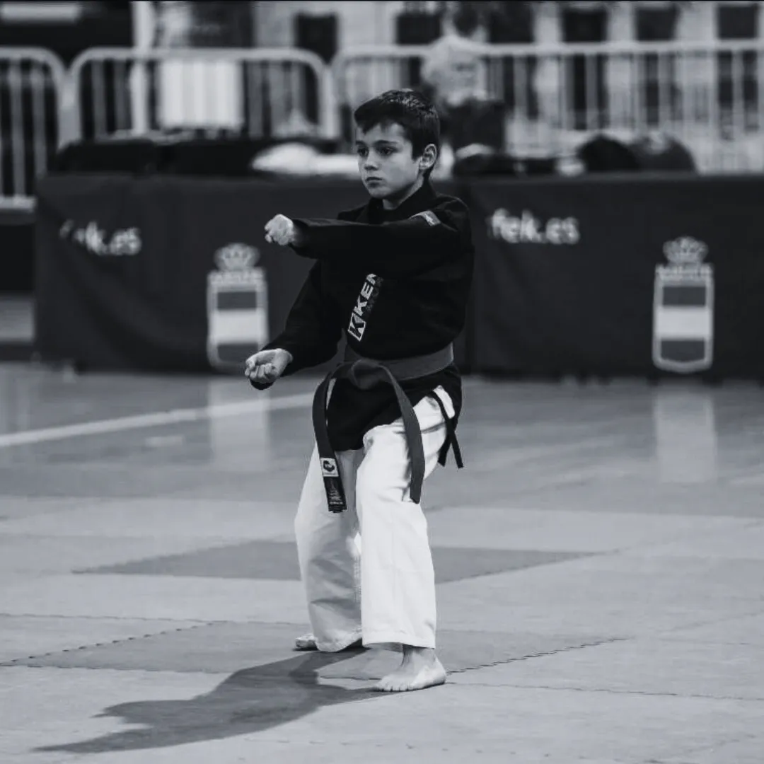 Palama Dojo - Kajukenbo Murcia — artes marciales-studio en Murcia — 3