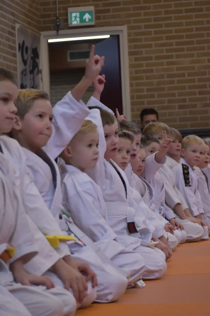 Judo Academy Stedendriehoek - Apeldoorn — vechtsport-studio in Matendreef, Apeldoorn — 2