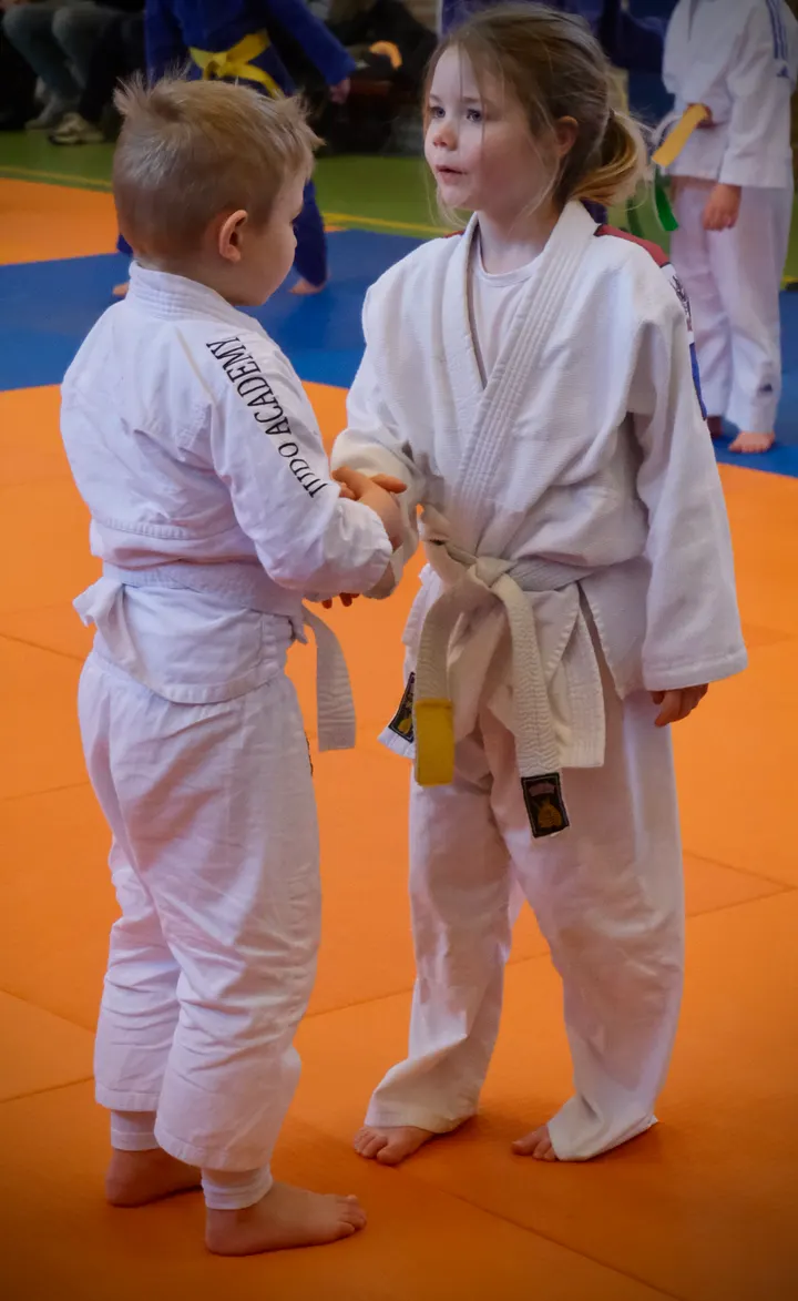 Judo Academy Stedendriehoek - Apeldoorn — vechtsport-studio in Apeldoorn — 3