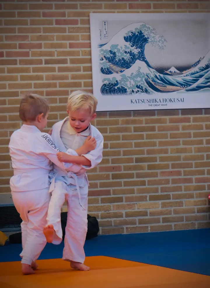 Judo Academy Stedendriehoek - Apeldoorn — Vechtsport in Matendreef, Apeldoorn