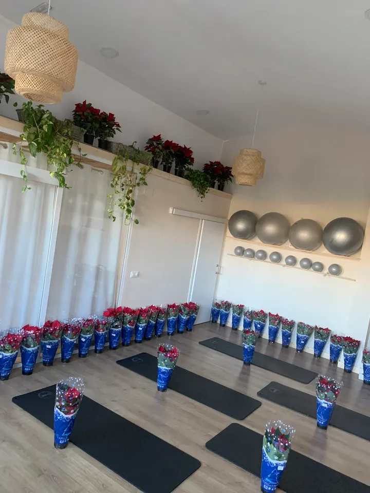 Anandas Estudio Joaquín Turina — pilates-studio en Madrid — 5