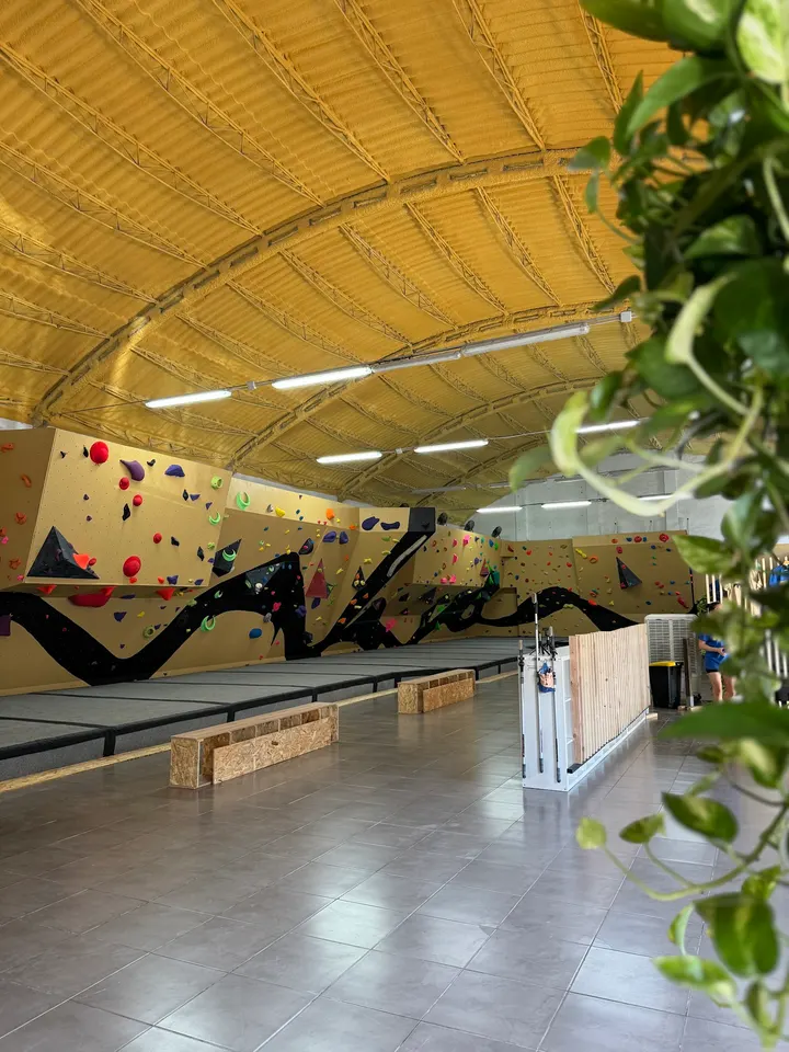 Rocódromo MoMa Climbing — Escalada en San Basilio, Murcia