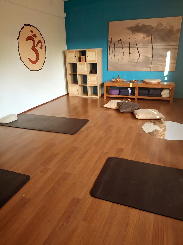 Yoga Zevenaar — Yoga in Lentemorgen Ⅱ, Zevenaar