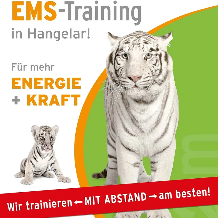 concept2move - Sankt Augustin — krafttraining-studio in Sankt Augustin — 4